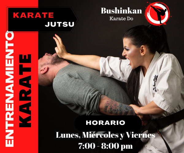 Karate do - Jutsu